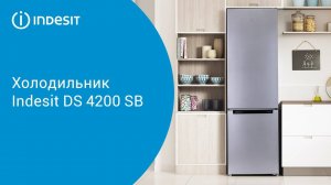 Холодильник Indesit DS 4200 SB - обзор модели