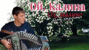 Очень красивая песня ОЙ КАЛИНА, ОХ МАЛИНА - Алексей Кракин /под гармонь