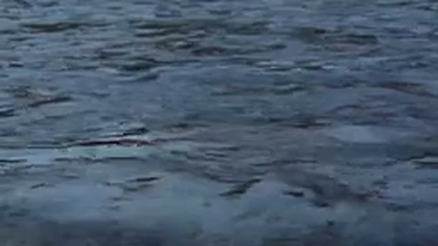 МОРСКОЙ РЕЛАКС, © Авторское право: Музыку сочинила Ирина ТюнинаМузыкант-исполнитель Ирина Тюнина