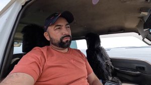 Американский Булли, лучшего друга у вас не будет.