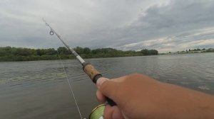 Ловля берша на отводной поводок!Рыбалка на Оке!Рыбалка на спиннинг!