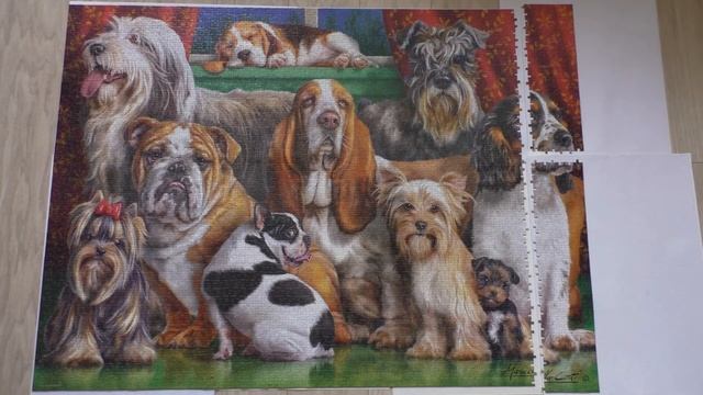 Как хранить пазл смотреть онлайн