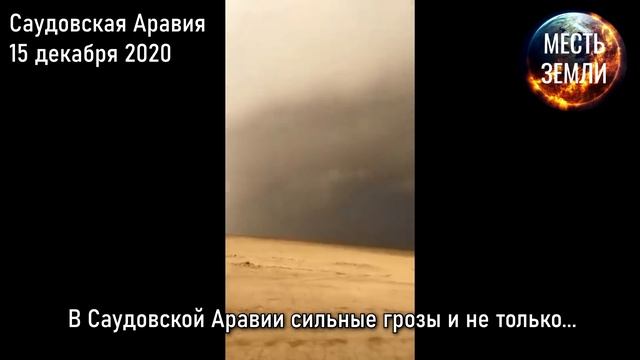 Месть Земли 15 декабря 2020 ! Откуда столько саранчи ? Солнечное затмение в Чили ! Изменение климат