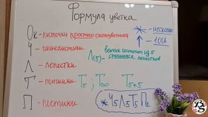 СТРОЕНИЕ ЦВЕТКА||ФОРМУЛА ЦВЕТКА/ОДНОПОЛЫЕ И ОБОЕПОЛЫЕ ЦВЕТКИ/ОДНОДОМНЫЕ И ДВУДОМНЫЕ РАСТЕНИЯ