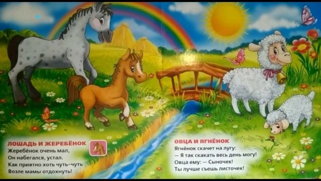 Читаем детскую книгу для малышей. Обзор книги 