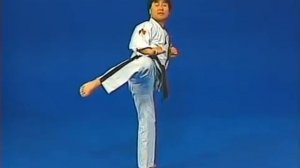 Таэквондо - Комбинации ударов ногами. Ч 2 уровень 2