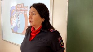 Что такое СИМ?