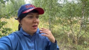 Как собирать грибы? Мастер-класс со мной в лесу. Главные правила грибника