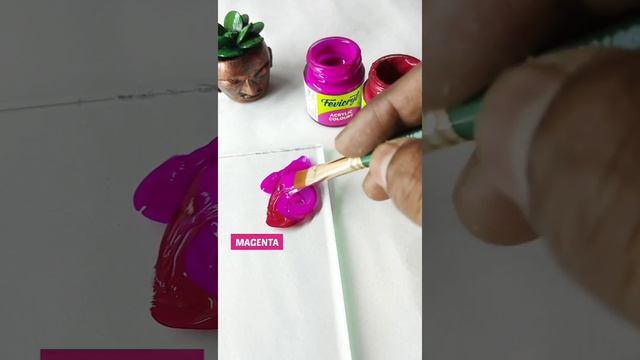 Fuchsia Colour | Colour Mixing | Fevicryl Acrylic Colours | Hobby Ideas