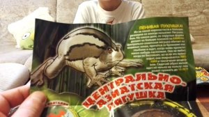 Лягушки МАКСИ  Frogs & Co MAXXI распаковка посылки