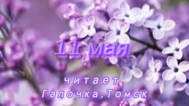 11 Мая - Счастливая медитация смотреть онлайн