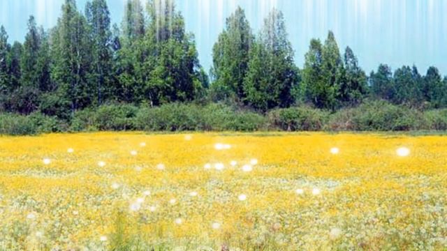 Слайд-шоу на песню "Божественное утро!" Это так красиво и завораживающе!! смотреть онлайн