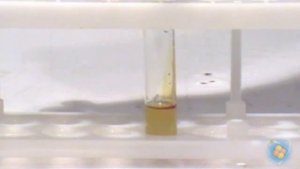 Взаимодействие йода с сульфидом натрия.