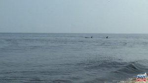 Путешествие на край земли. Часть вторая.  Побережье Охотского моря