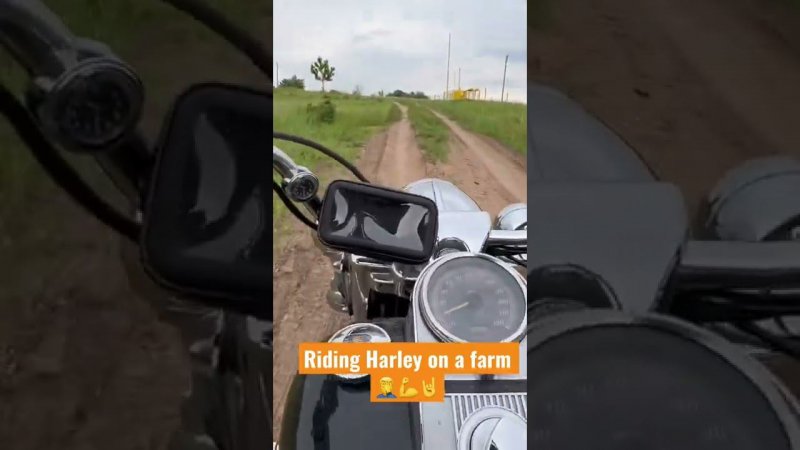 Can you ride a #harley #davidson #bike #bikelife #potato #road #king #88 #carb #lawyer #mud #road?