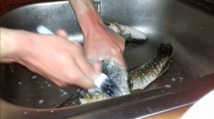 как почистить щуку хорошо и быстро!