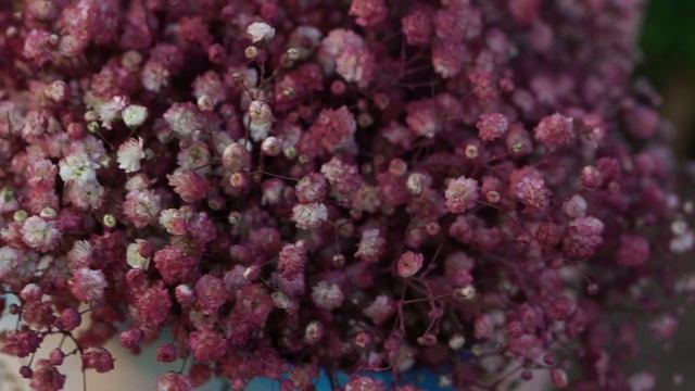 Букет в голубой шляпной коробке Amour Mini из 9 малиновых гипсофил смотреть онлайн