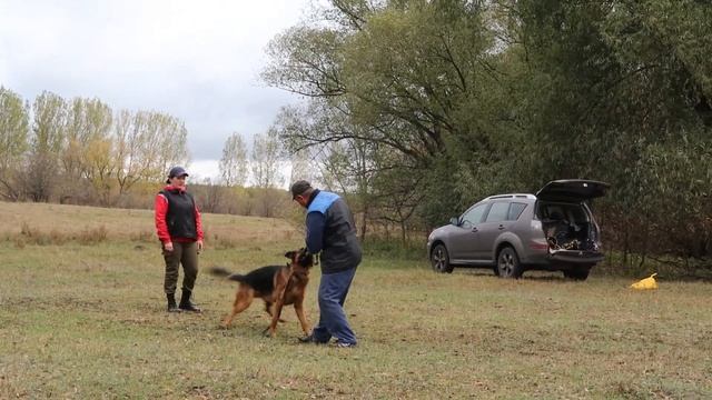 Воспитанник Дрессировочного центра "Чемпион" г. Белгород- ЛАЙТАТУРМ ДЕРБИ.....выездная дрессировка смотреть онлайн