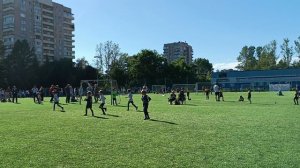 Фрунзенский -Сестрорецк 2-0.  22.06.24