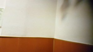 ч.2/2 госуслуги не высылают квитанцию на оплату госпошлины Замена паспорта РФ