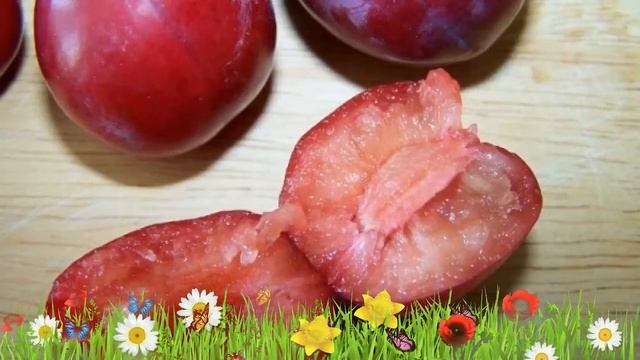 Алыча гибридная Лама ? Обзор: посадка и уход. саженцы, крупномеры алычи Лама: описание и особенност смотреть онлайн