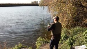 ZEMEX REXAR 792MH | ЗАБРОС НА ПЕРЕГРУЗЕ