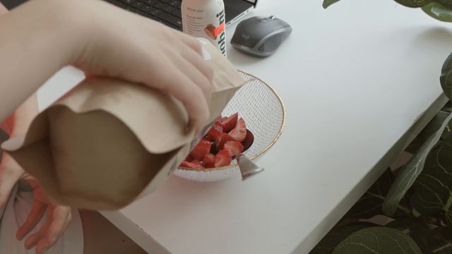 뉴욕 일상 브이로그 / 오래된 빈티지 서점, 뉴욕에서 제일 유명한 마트 구경, 동네 빵집 산책, 자주먹는 통곡물 소개, 배타고 브룩클린 나들이, 카페, 아기고양이 돌보기, 미국 смотреть онлайн