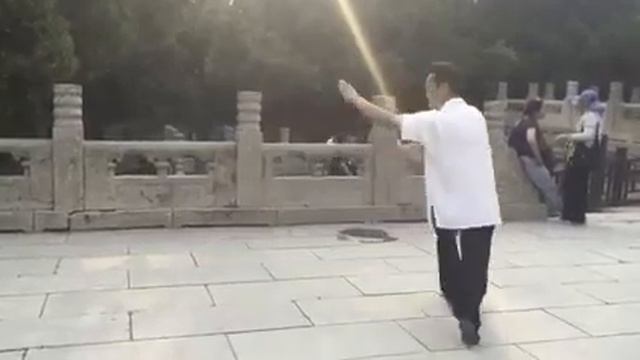 Инь ши багуа чжан ( 尹式八卦掌 ) смотреть онлайн