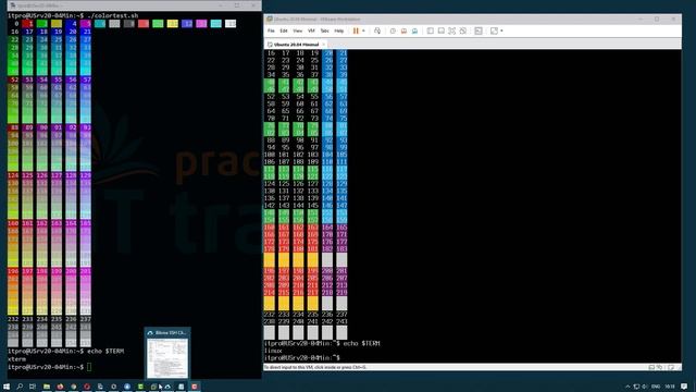 ?✨ Настройка подсветки bash на примере эмуляторов терминала KiTTy и Bitvise в Ubuntu Server 20.04.