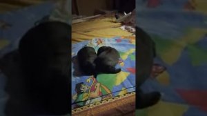 Синдром пловца. Первые признаки