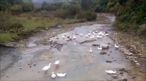 Чудо Река рубас в дагестане! туристы мечтают купаться в этой реке. табасаран