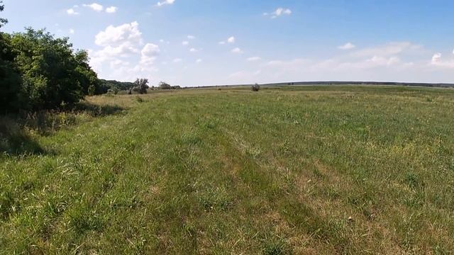 СЕРЕБРО ЗОЛОТОЙ ОРДЫ С НОВОГО ПОЛЯ!Нашел новую поселуху лето 2020 Коп с Rutus ARGO NE(Рутус АРГО НЕ