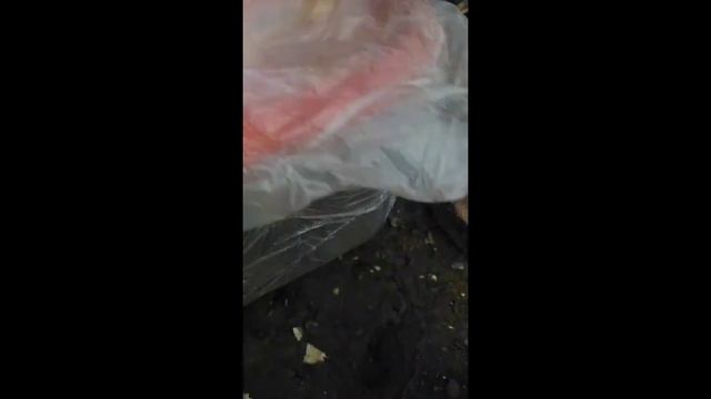 Неудачная рыбалка😔 смотреть онлайн