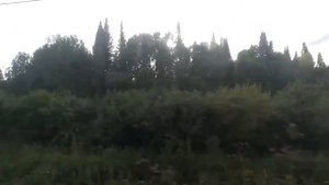 Виды из окна поезда под стук колес