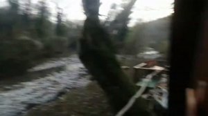 речка на даче Подхребтовое