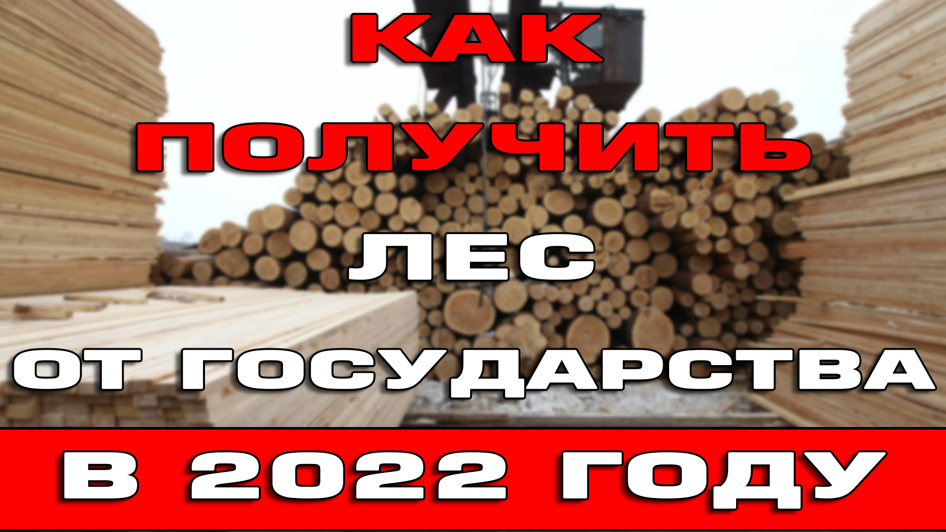 Лес от государства на строительство ремонт и дрова