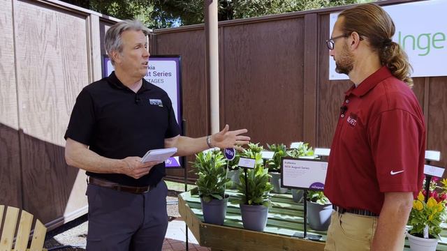 CAST 22: Ball Ingenuity смотреть онлайн