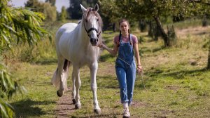 Спирит — Русский трейлер (2023)