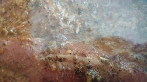 Marynowanie 2 kg karczku przy pomocy Caso VacuChef 70