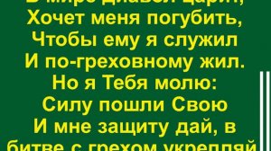Жизнь посвящаю Тебе