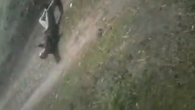 Много пить вредно