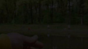 Nautilus Troutezza и Fire 2000; легальный спиннинг в нерестовый запрет на попла-поппер