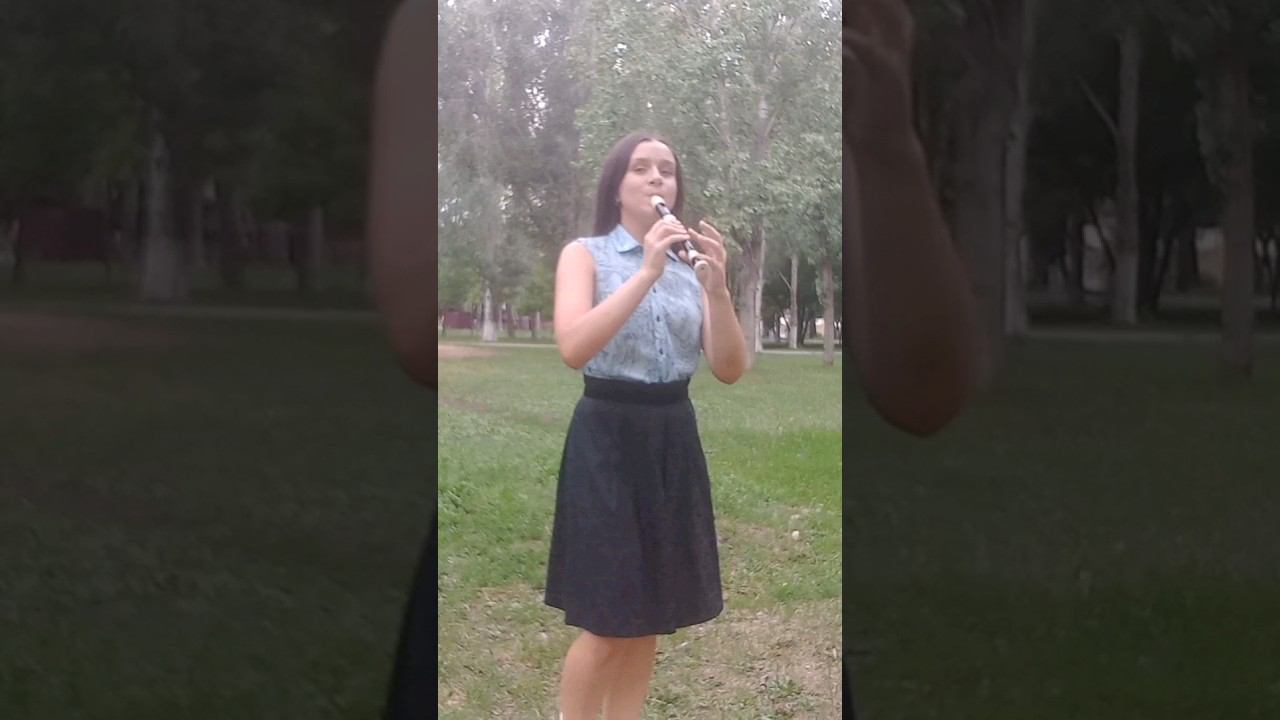 Пираты Карибского моря #recorder  #recorderflute смотреть онлайн