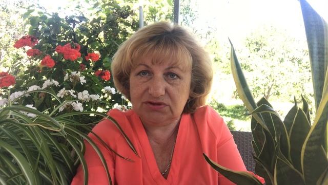 Сворачиваются листья у комнатных смотреть онлайн