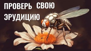 Интересные тесты на эрудицию № 61 #тестнаэрудицию #эрудиция