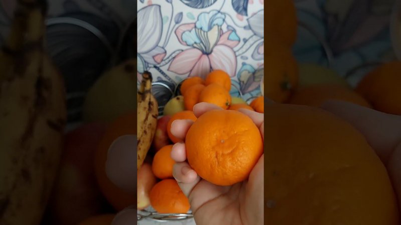 Неожиданно из фруктовой корзинки