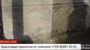 Пропитка от сырости и плесени