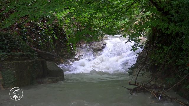 Расслабляющий Шум Горной Реки После Дождя | 1 Час Глубокой Релаксации и медитации |  Белый Шум