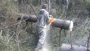 Бензопила Тайга.