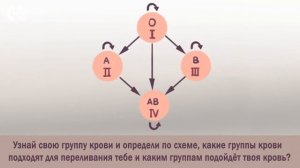 Определение группы крови, подходящей для переливания. Задача.